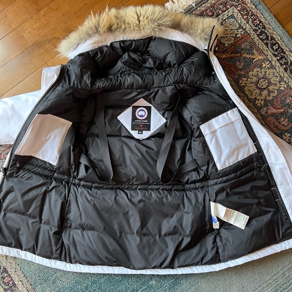 White Canada goose montebello - Picture 11 of 12